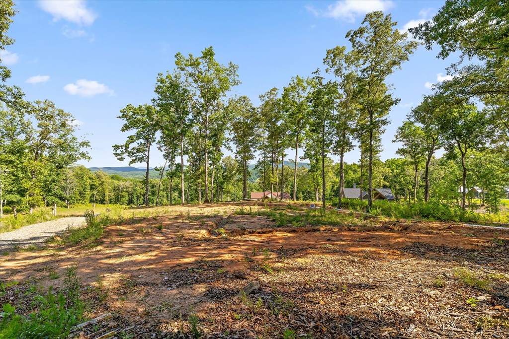 Lot 85 Split Creek Road Morganton, GA 30560 - Photo 5 of 23