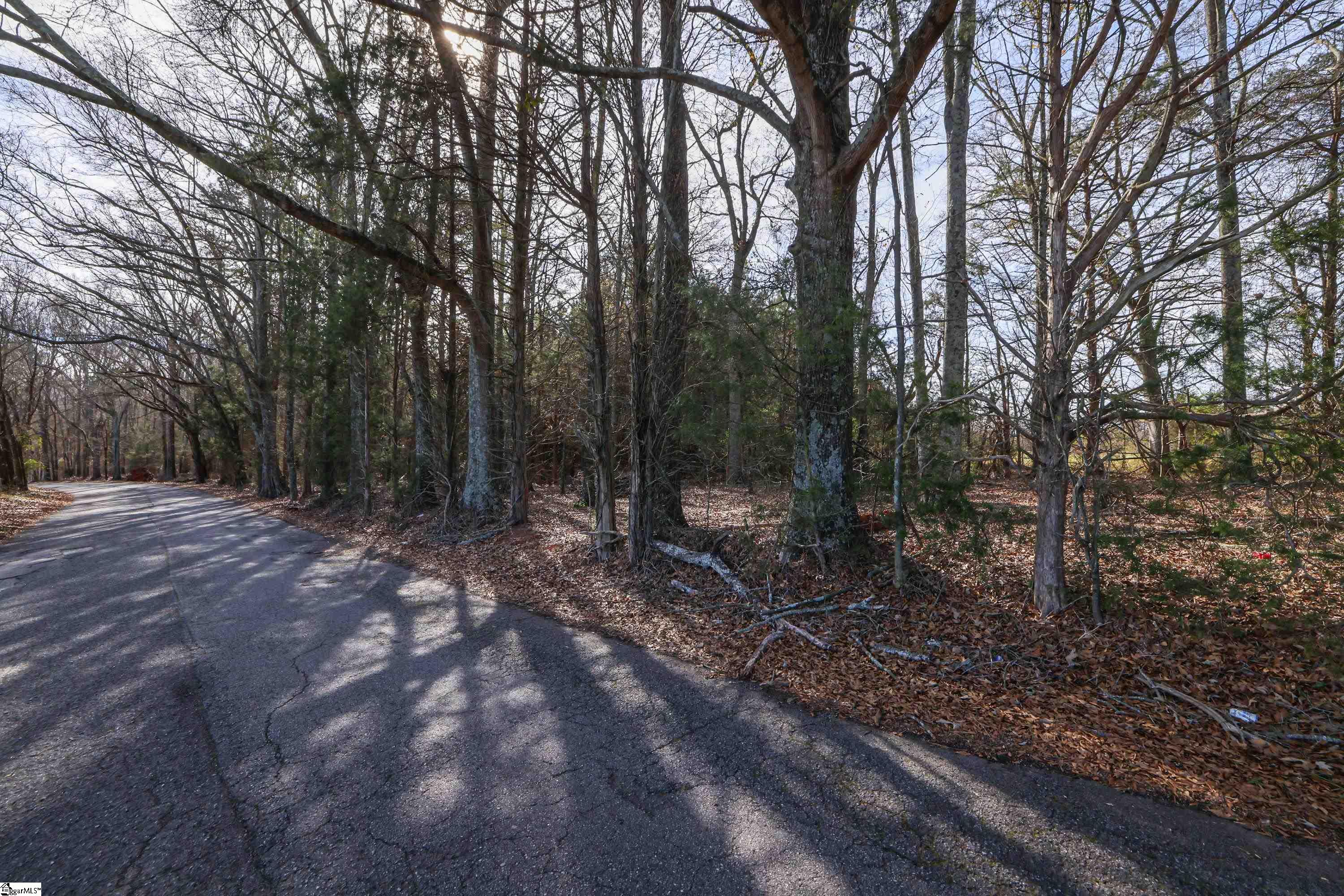 0 Reidville Road, Unit 0WELCOME Williamston, SC 29697 - Photo 16 of 16