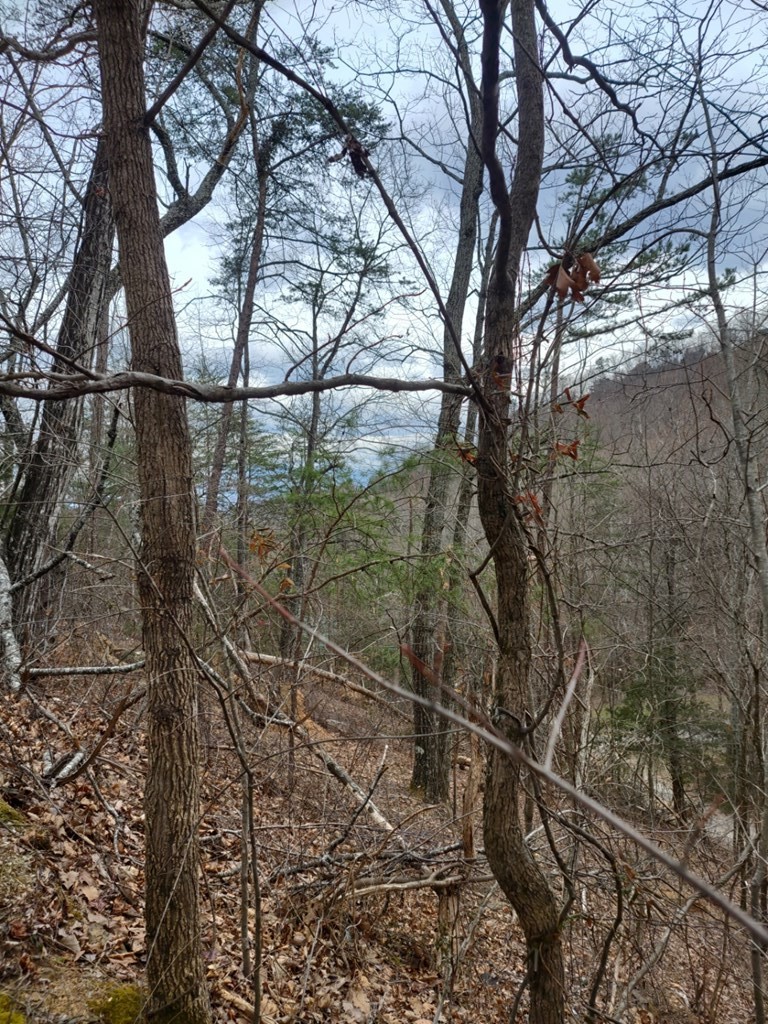 5 Rising Fawn Way Sevierville, TN 37862 - Photo 2 of 6