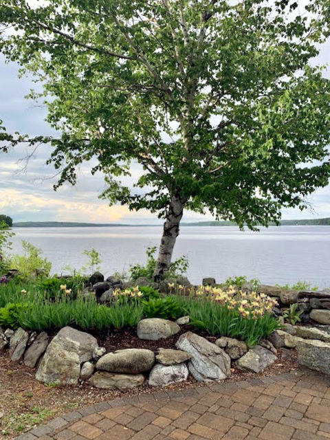 189 Kanokolus Road Unity, ME 04988 - Photo 12 of 54 Patio View