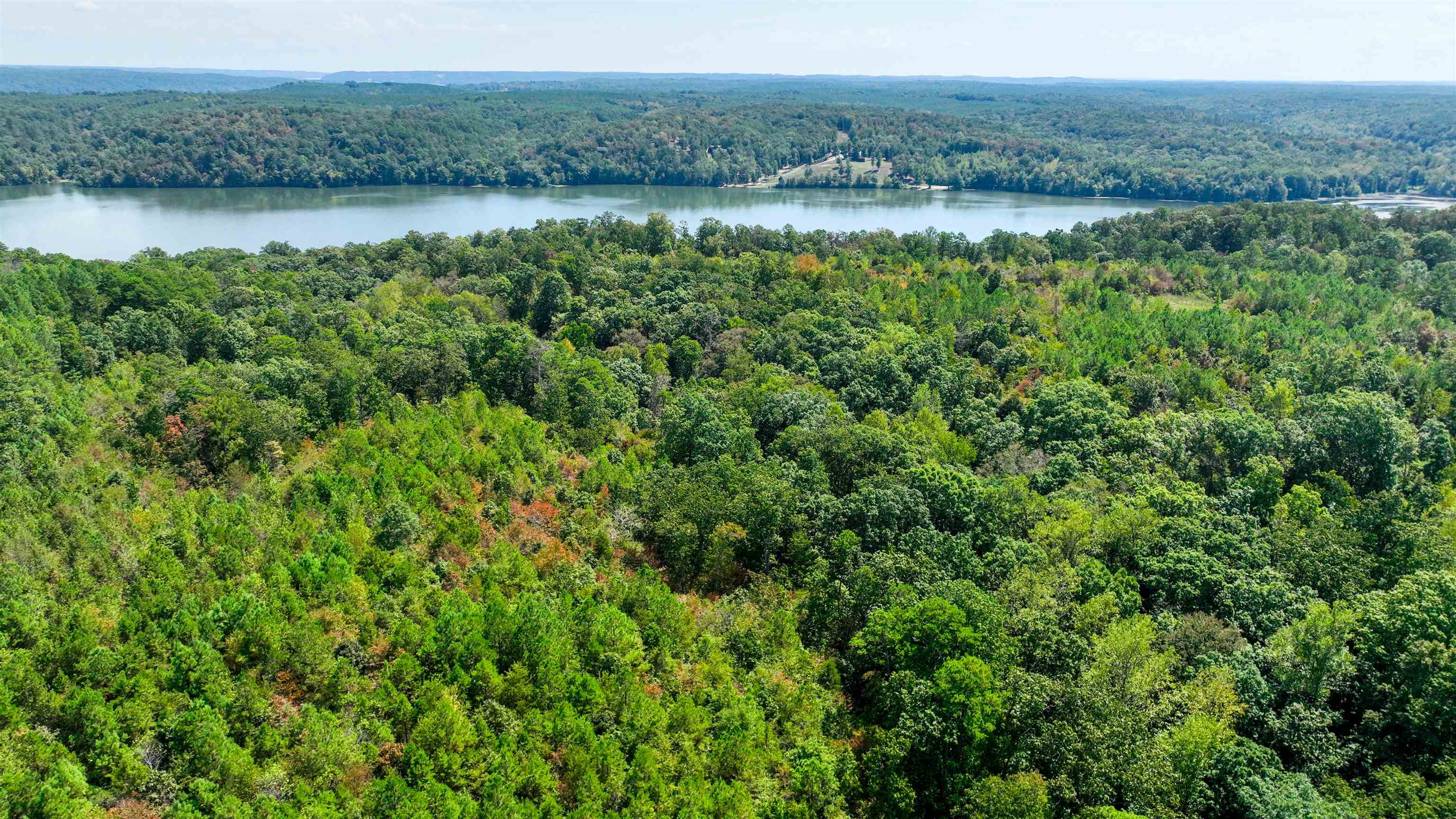 32 County 288 Road Iuka, MS 38852 - Photo 15 of 28 a view of a lake with a mountain and trees