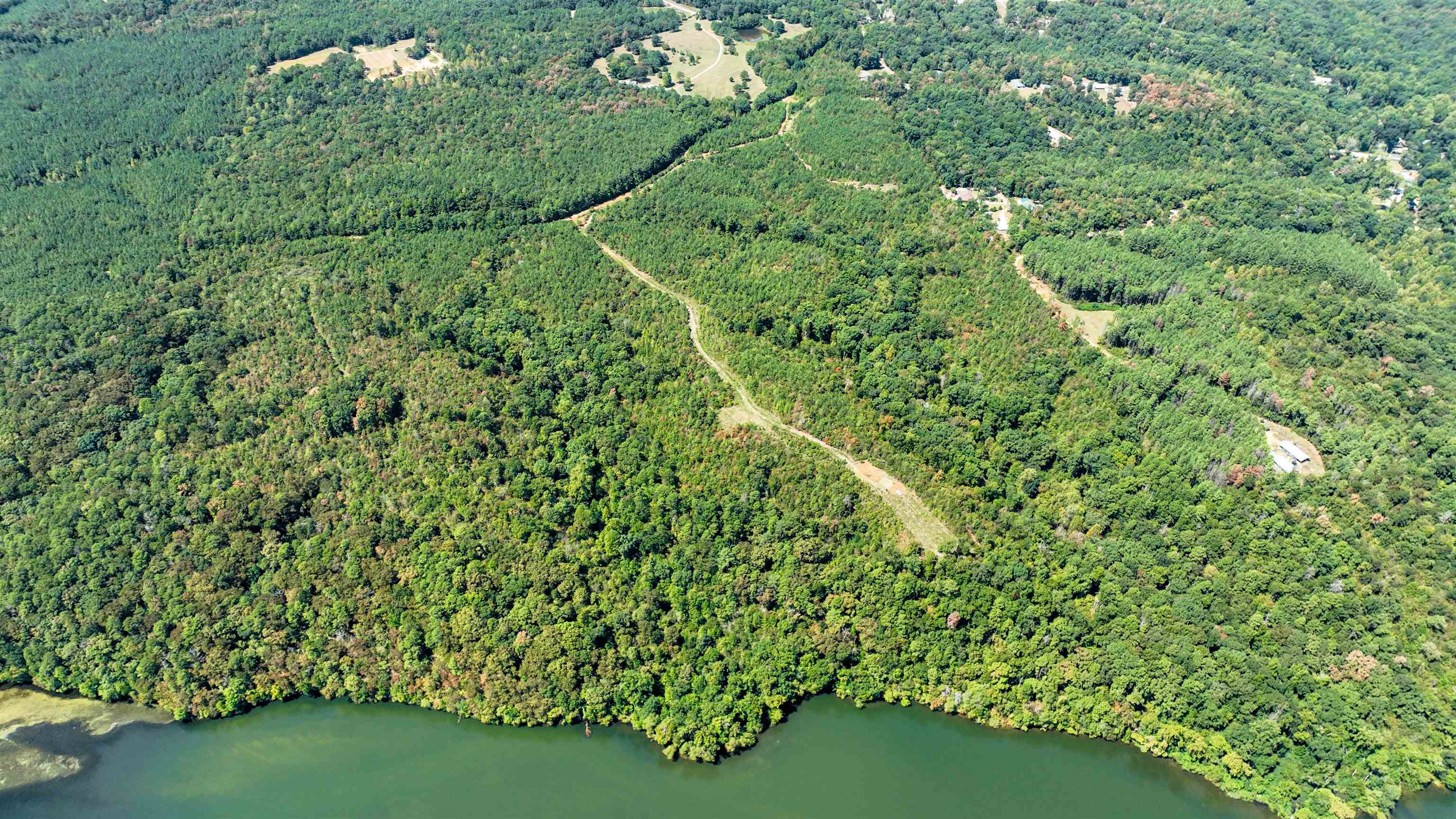 32 County 288 Road Iuka, MS 38852 - Photo 21 of 28 a view of a yard with a tree