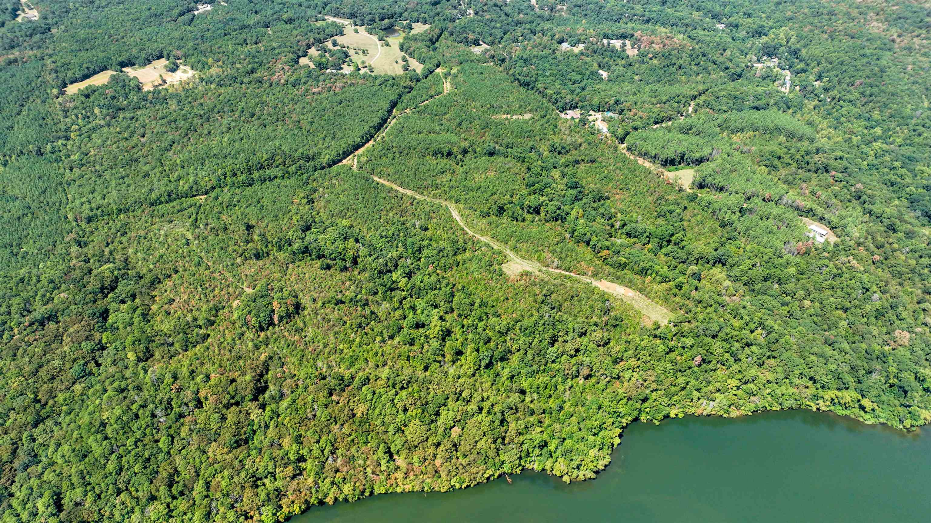 32 County 288 Road Iuka, MS 38852 - Photo 22 of 28 a view of a yard with a tree