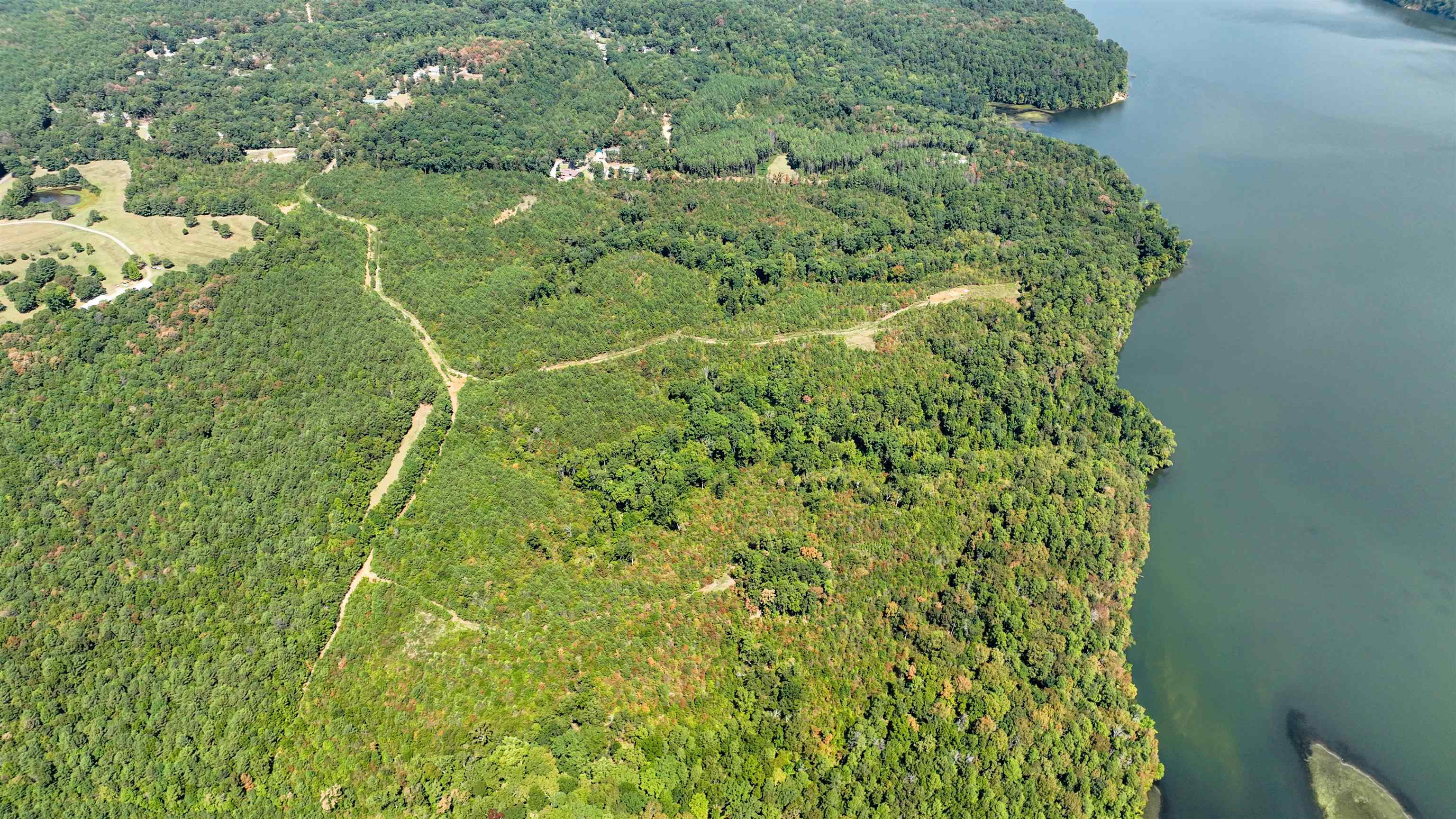 32 County 288 Road Iuka, MS 38852 - Photo 24 of 28 a close up of a plant