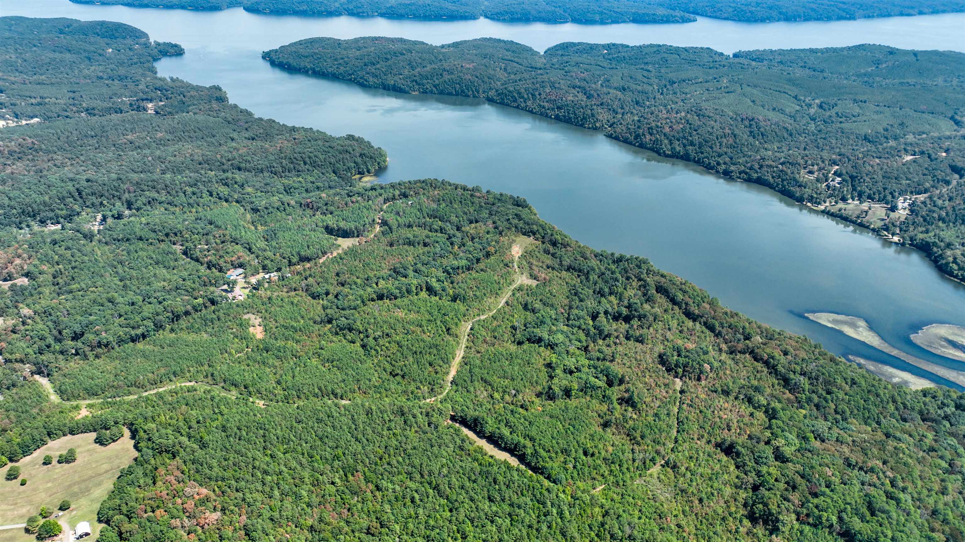 32 County 288 Road Iuka, MS 38852 - Photo 28 of 28 a view of a lush green forest with a lake