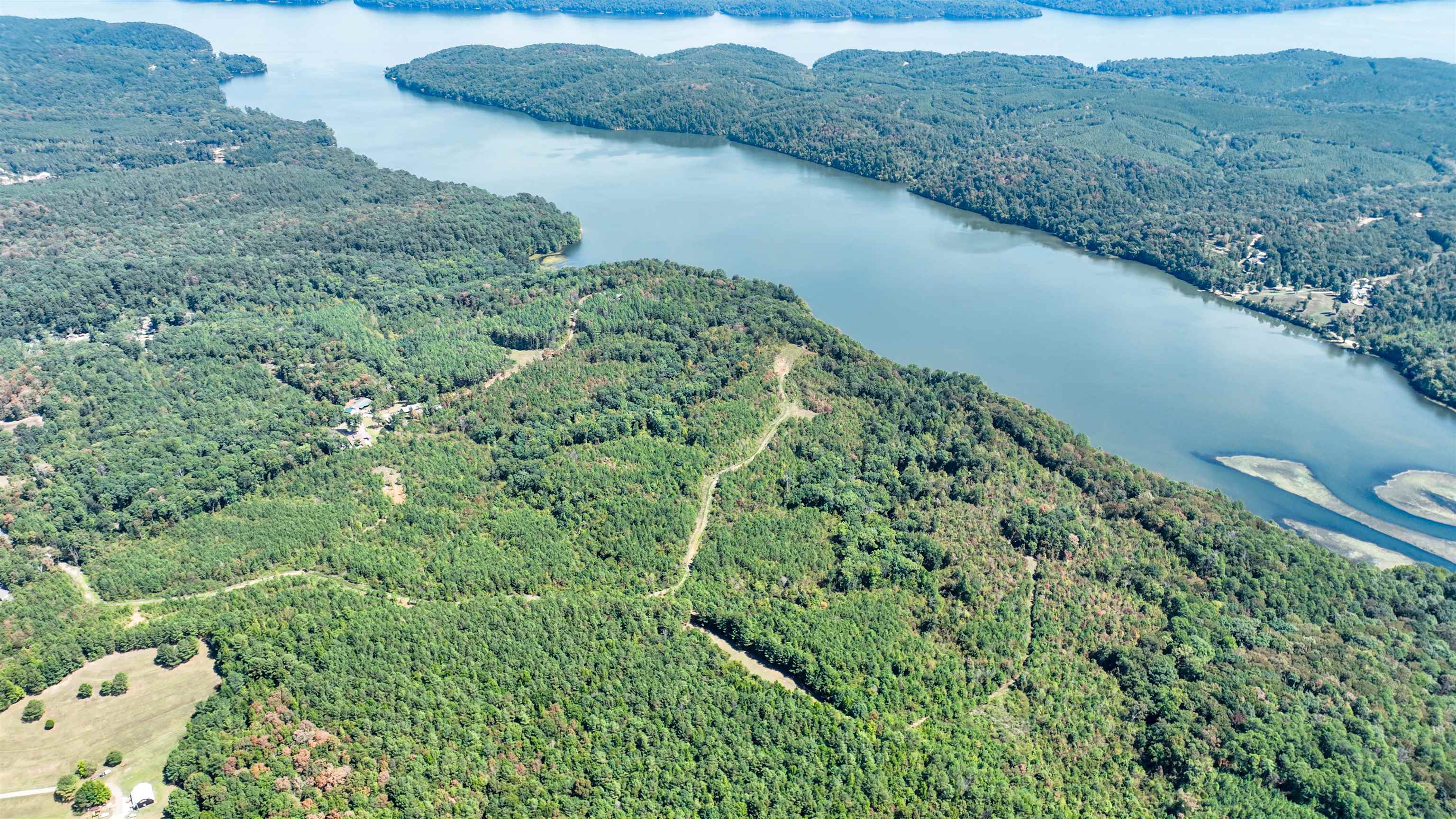 32 County 288 Road Iuka, MS 38852 - Photo 9 of 28 a view of a forest with a lake