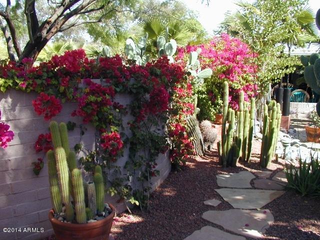 5841 East Redwing Road Paradise Valley, AZ 85253 - Photo 11 of 11 Fantastic Landscaping