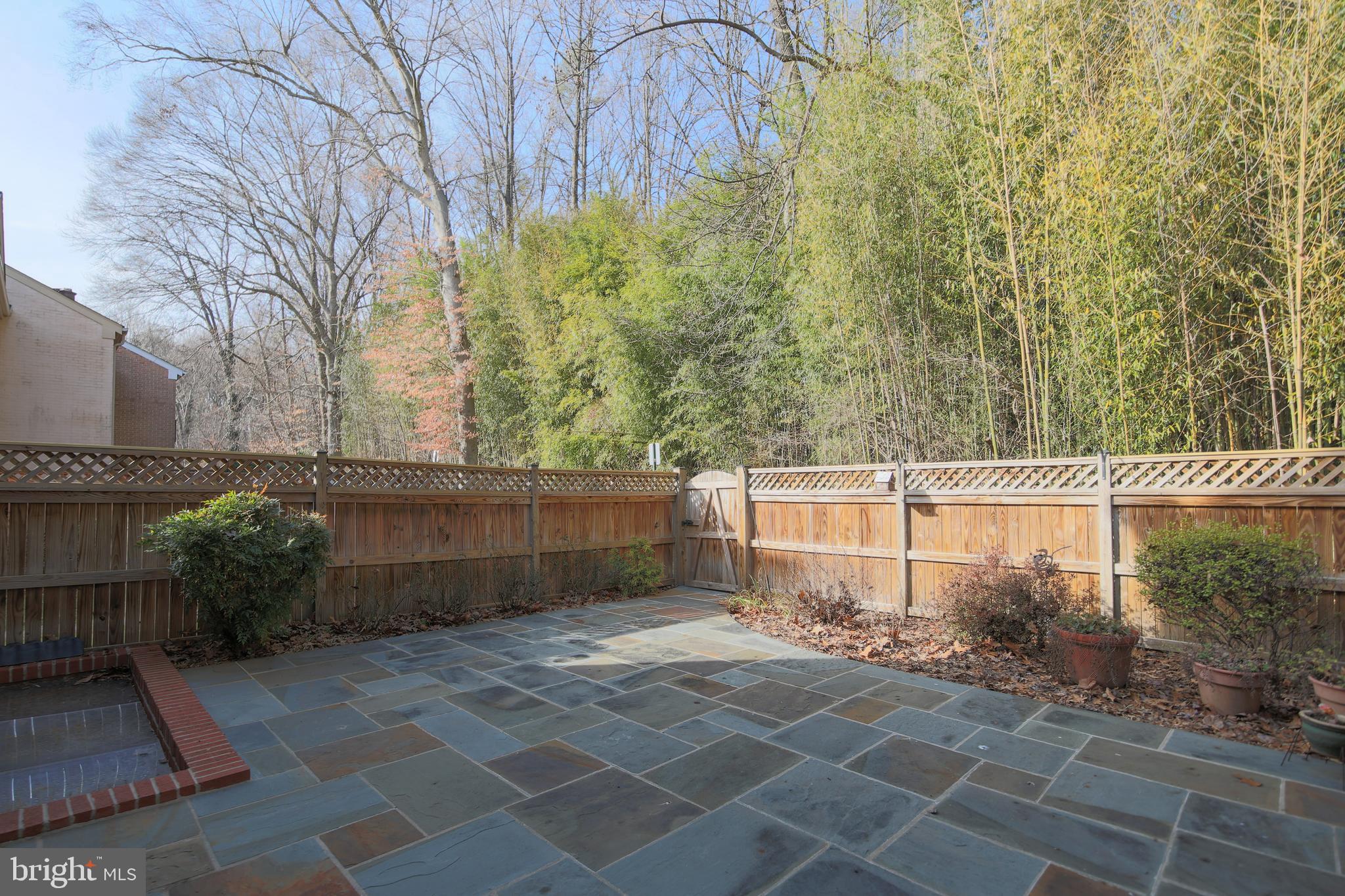 9738 Cardinal Road Fairfax, VA 22030 - Photo 24 of 63 Private Views from Garden