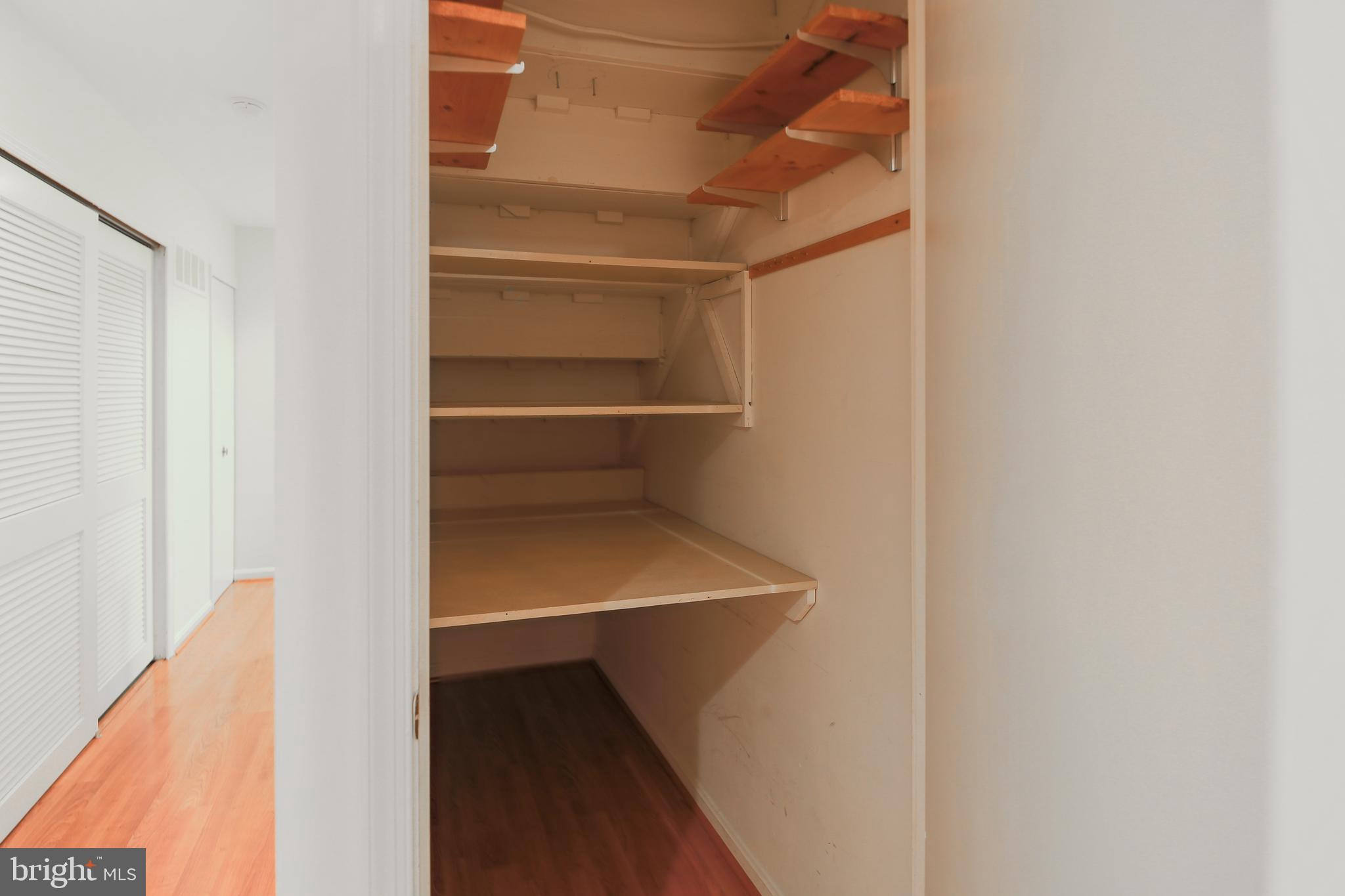 9738 Cardinal Road Fairfax, VA 22030 - Photo 59 of 63 Deep Storage Closet Under Stairs to Lower Level