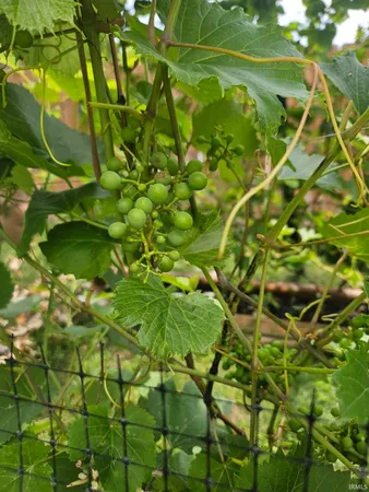 $349,900 | 1809 Elizabethan Court, South Bend, IN 46614