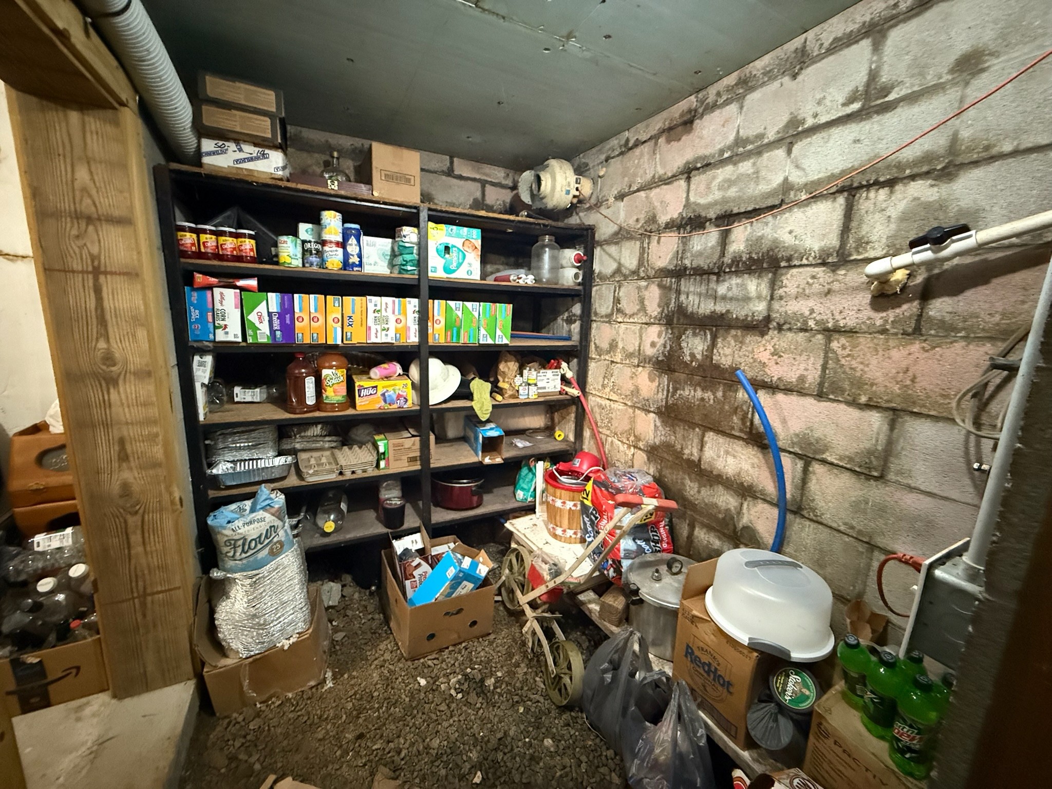 2975 Bethlehem Church Road Mount Hermon, KY 42157 - Photo 25 of 72