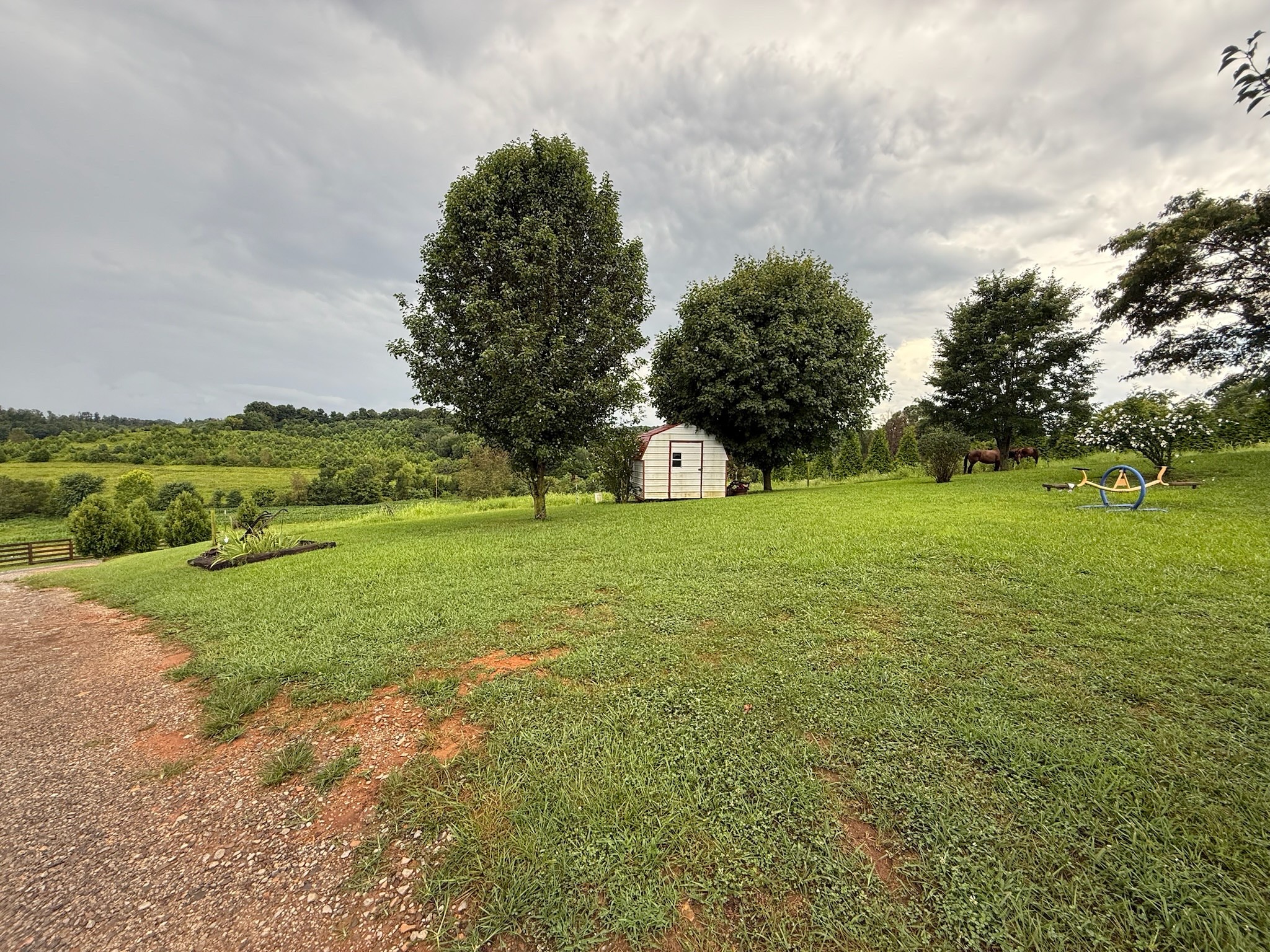 2975 Bethlehem Church Road Mount Hermon, KY 42157 - Photo 41 of 72 a view of a field with an trees