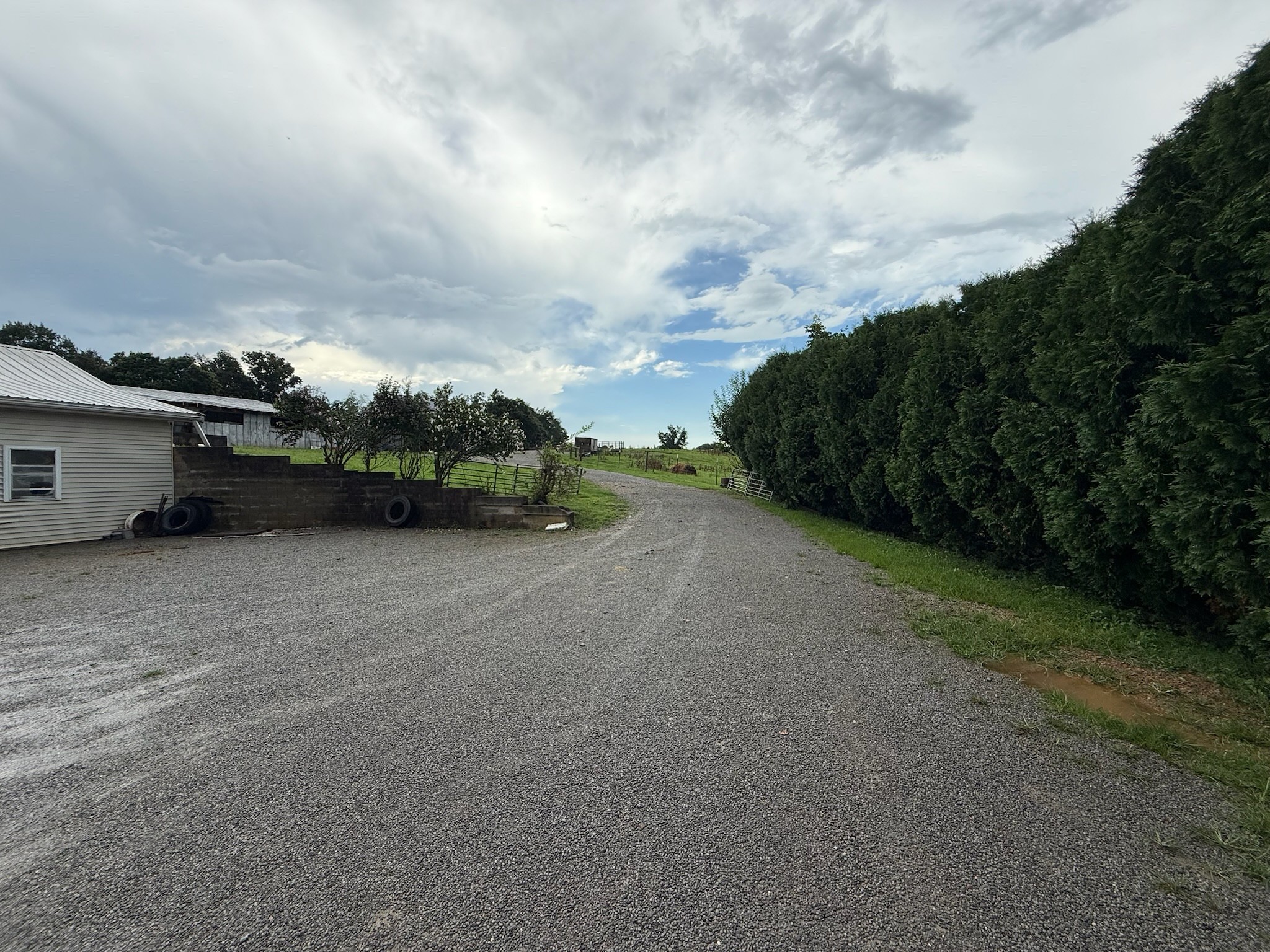 2975 Bethlehem Church Road Mount Hermon, KY 42157 - Photo 43 of 72 a view of a field with some trees in the background