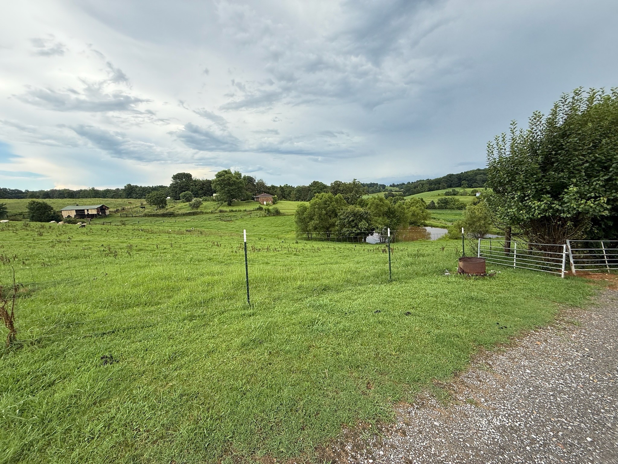 2975 Bethlehem Church Road Mount Hermon, KY 42157 - Photo 44 of 72