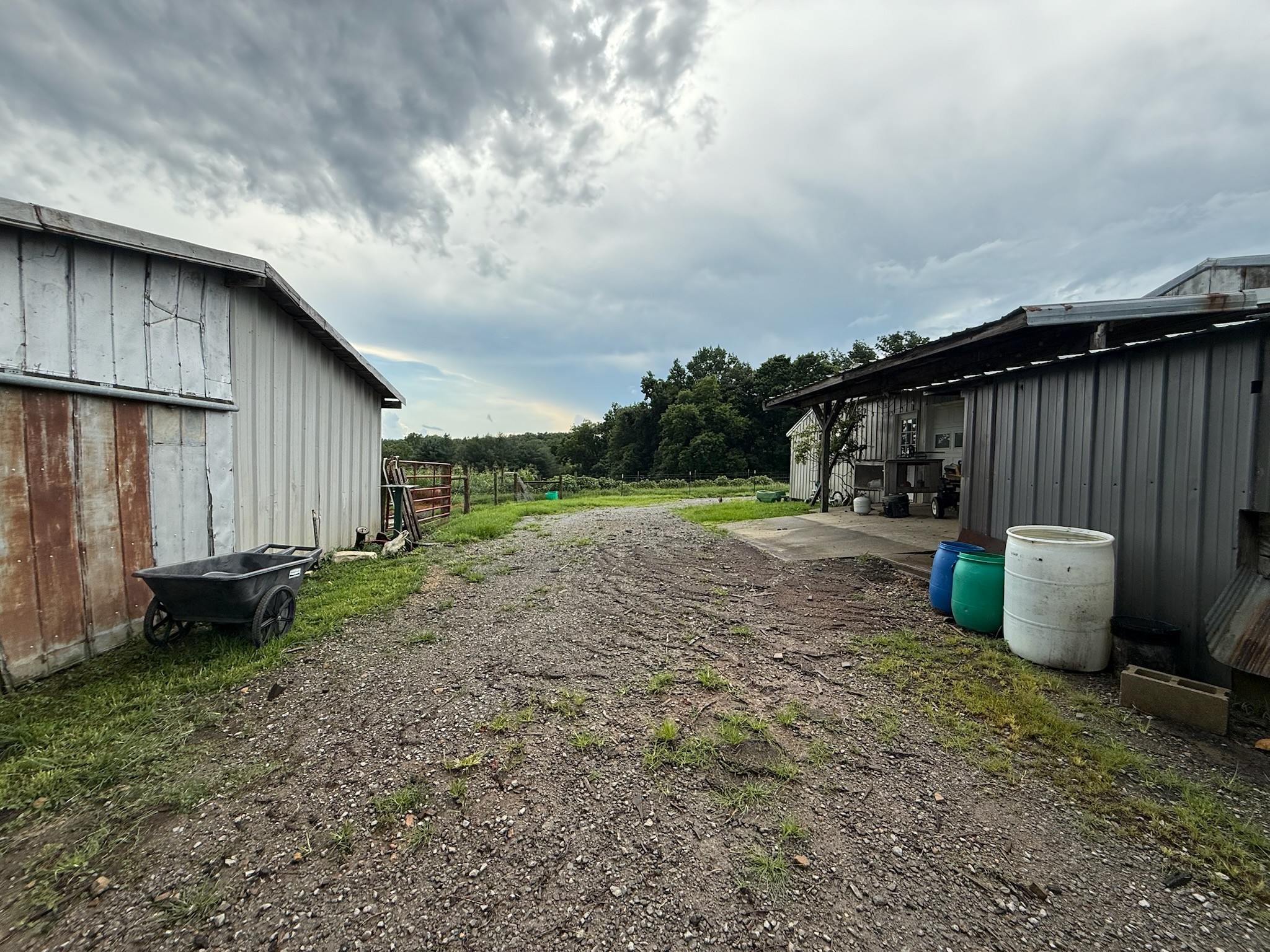 2975 Bethlehem Church Road Mount Hermon, KY 42157 - Photo 48 of 72