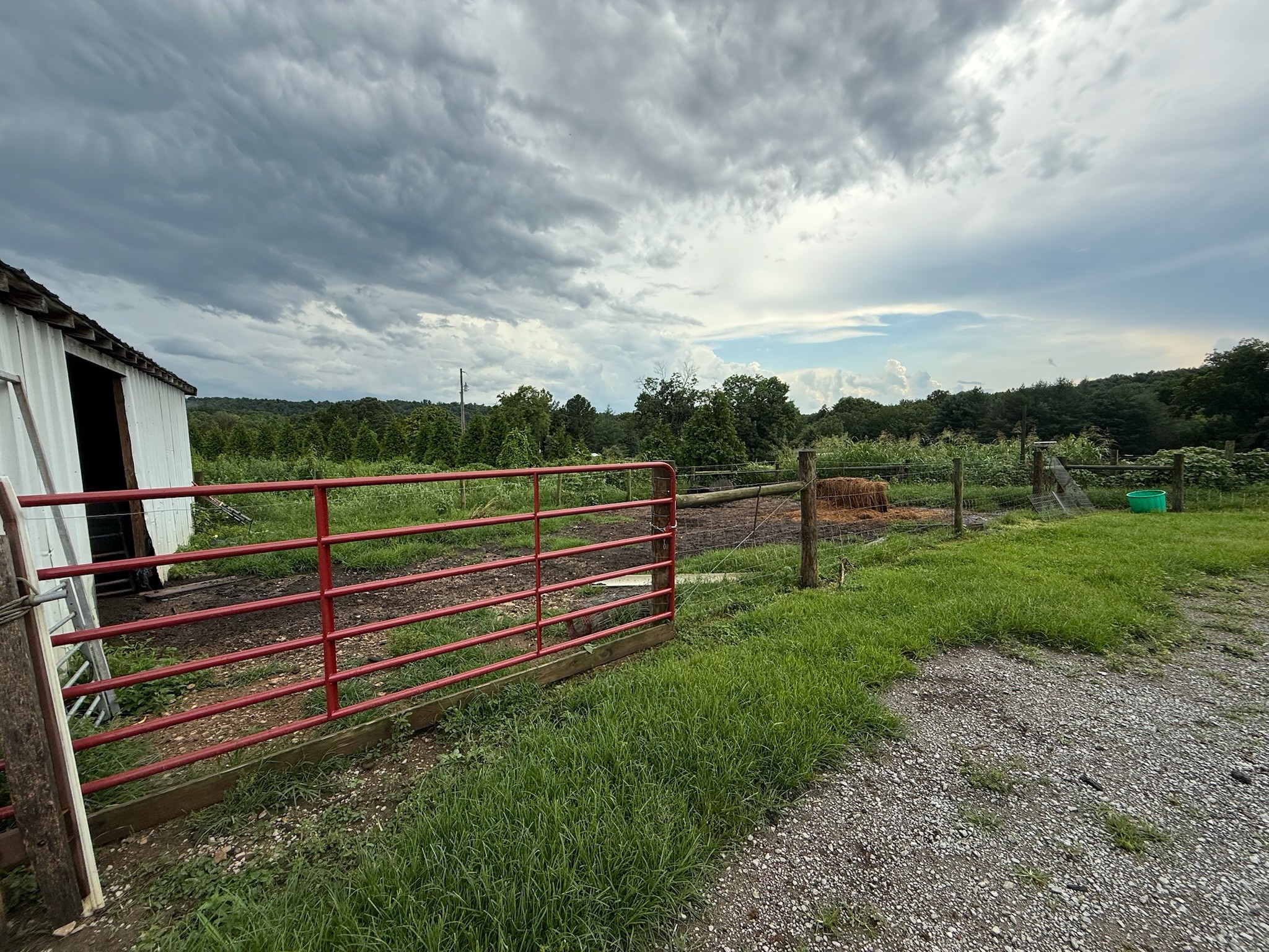 2975 Bethlehem Church Road Mount Hermon, KY 42157 - Photo 50 of 72 a view of park with stairs