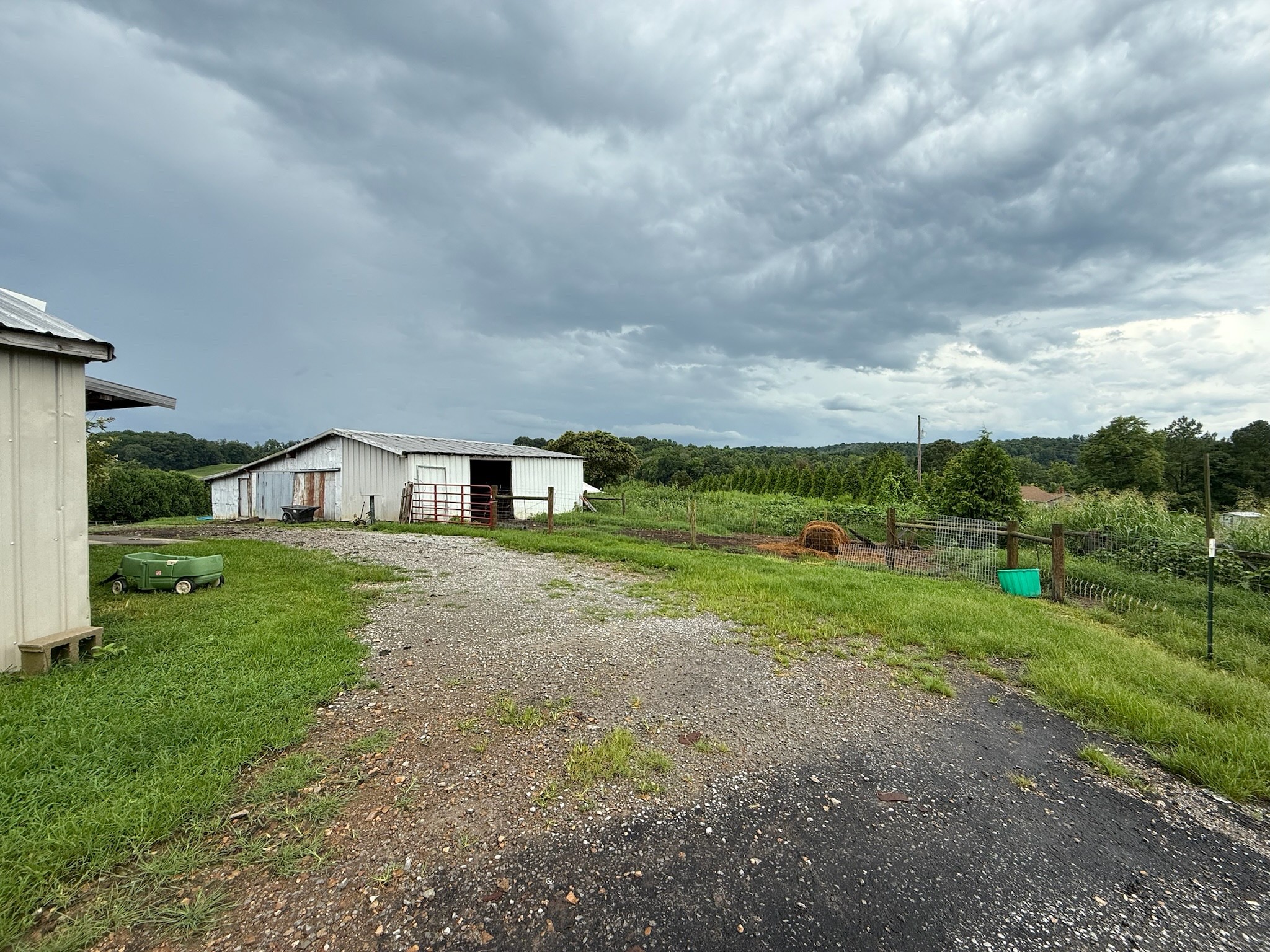 2975 Bethlehem Church Road Mount Hermon, KY 42157 - Photo 52 of 72 a view of a house with a big yard and large trees