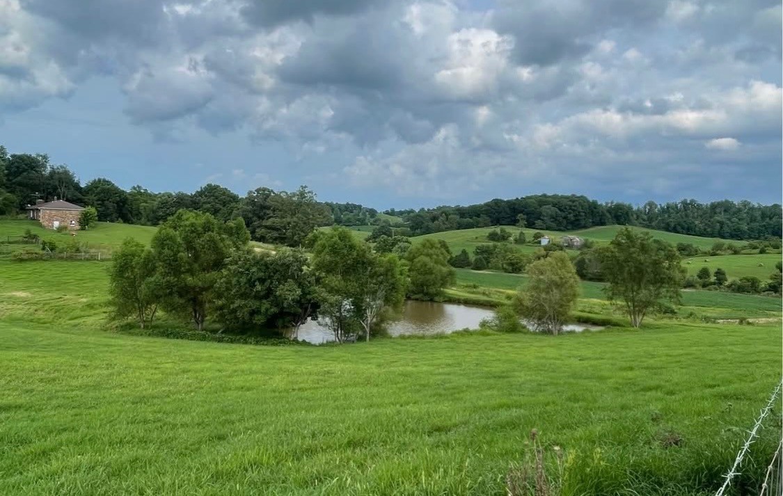 2975 Bethlehem Church Road Mount Hermon, KY 42157 - Photo 60 of 72 a view of a garden and mountains
