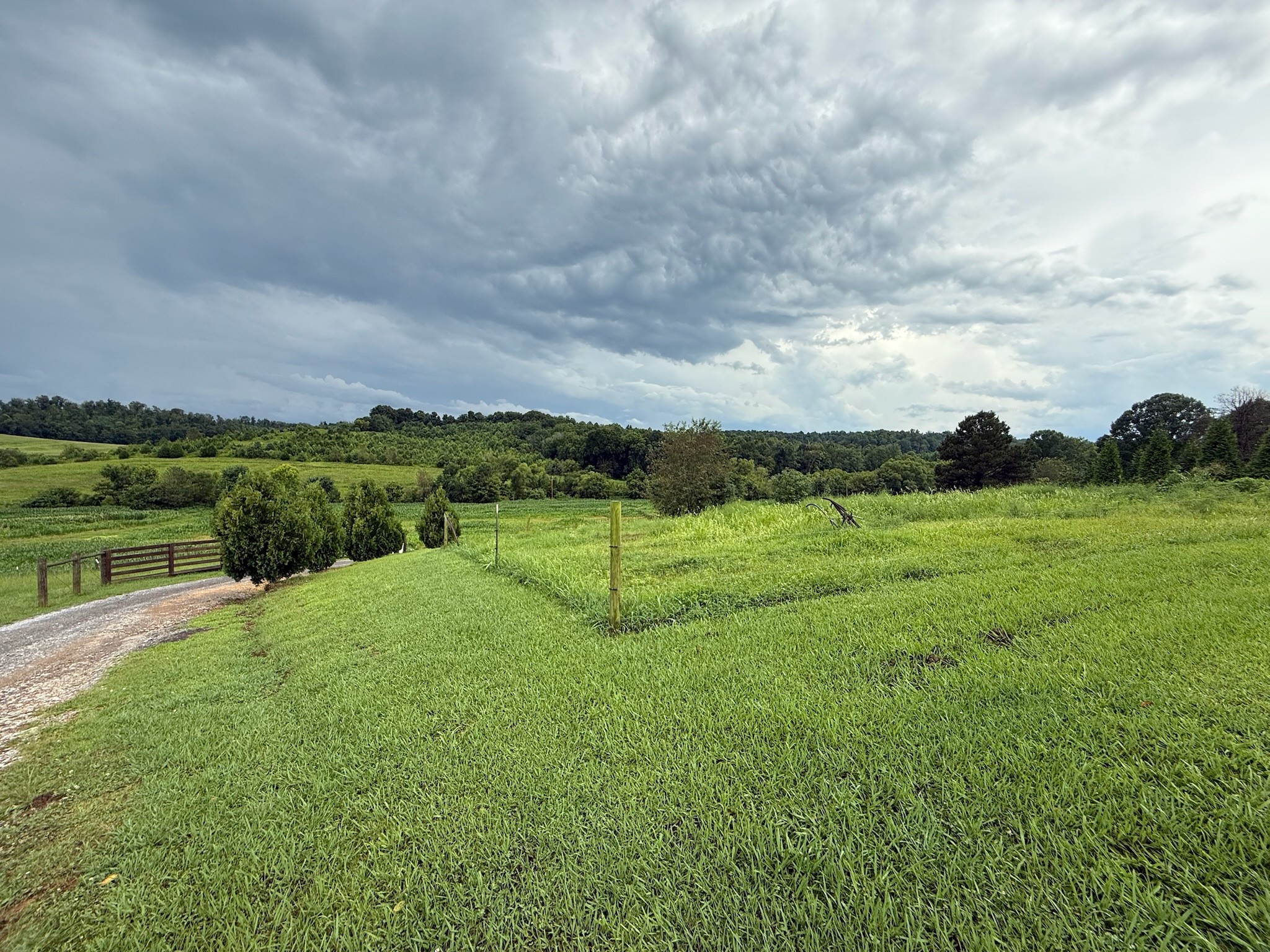 2975 Bethlehem Church Road Mount Hermon, KY 42157 - Photo 62 of 72 a view of a golf course with a garden