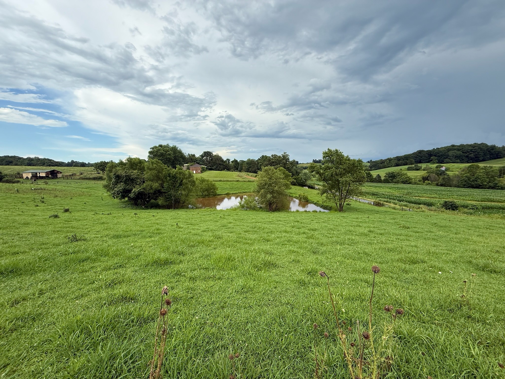 2975 Bethlehem Church Road Mount Hermon, KY 42157 - Photo 63 of 72
