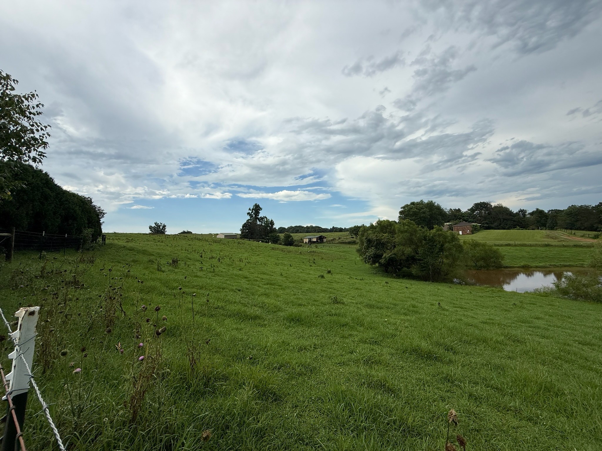 2975 Bethlehem Church Road Mount Hermon, KY 42157 - Photo 64 of 72 a view of a lake with a building in the background