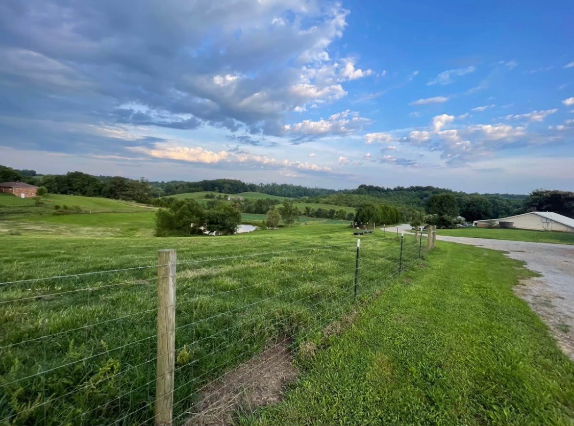2975 Bethlehem Church Road Mount Hermon, KY 42157 - Photo 70 of 72 a view of a lake with a big yard