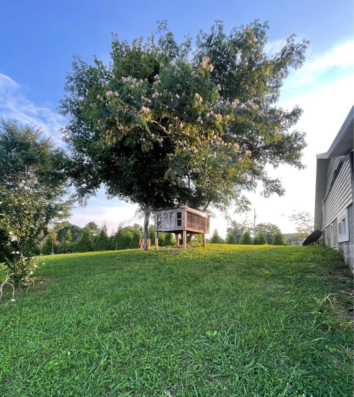 2975 Bethlehem Church Road Mount Hermon, KY 42157 - Photo 72 of 72 a view of a field with large trees