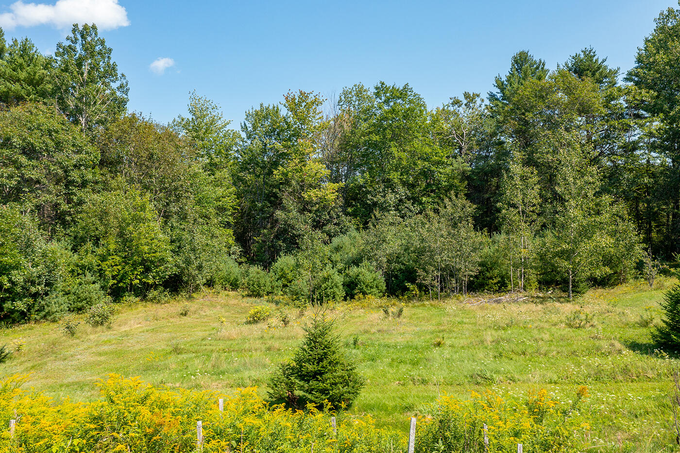 327 Youngs Hill Road Washington, ME 04574 - Photo 14 of 26 DJI_0866