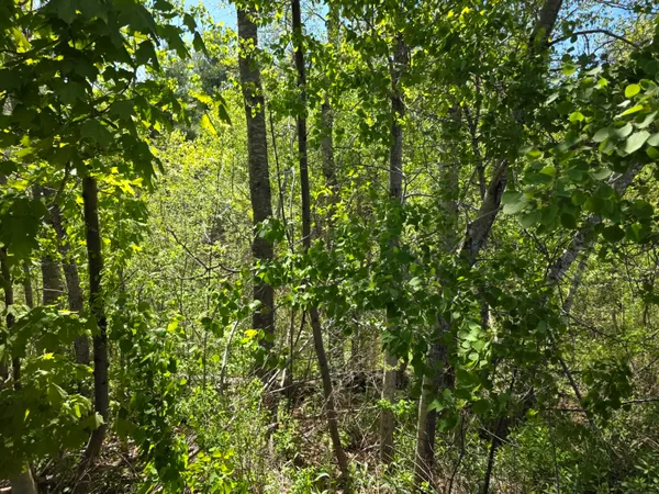 $49,900 | 4 Goose River Estates, Swanville, ME 04915