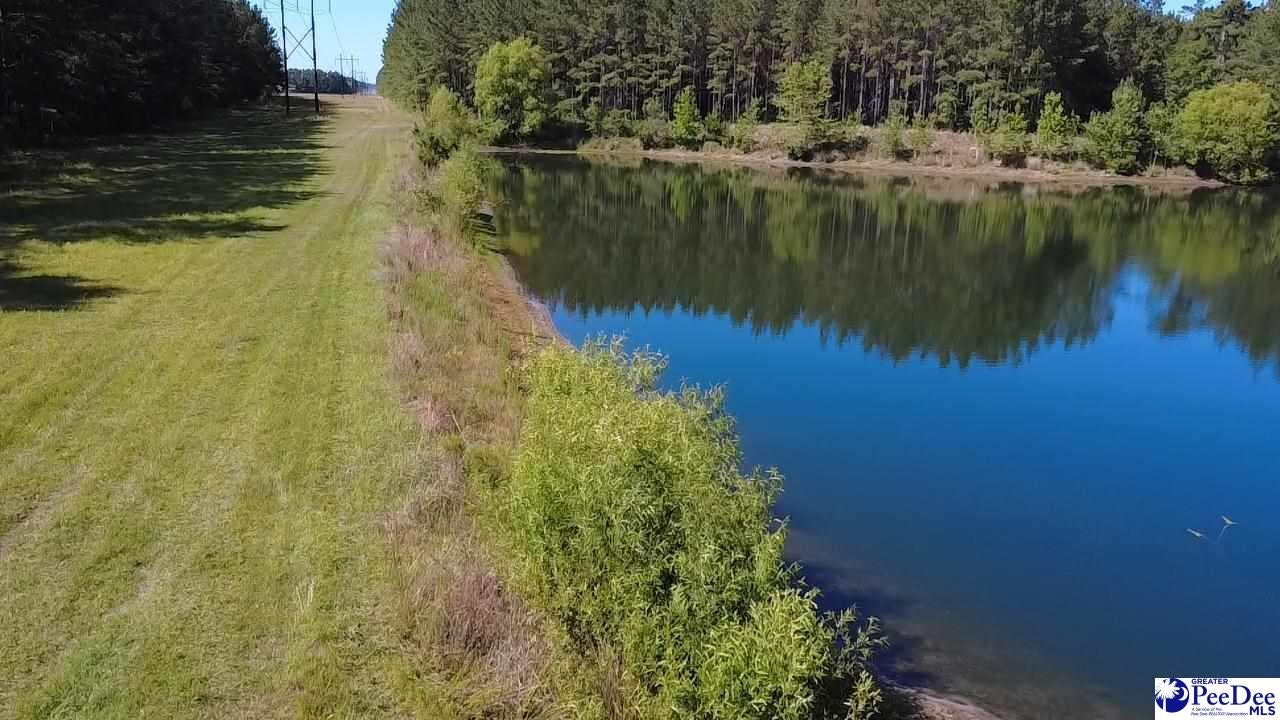 Tbd Tbd River Neck Road Florence, SC 29505 - Photo 11 of 47 Gallery Image 11