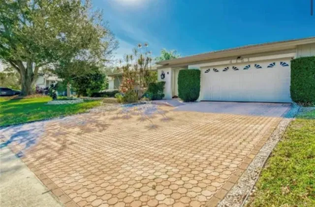 a view of backyard with large trees
