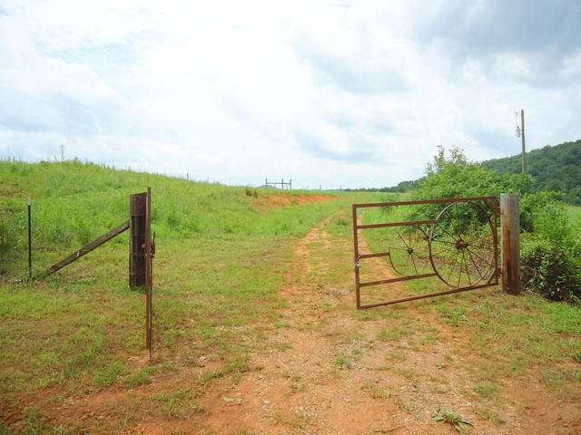 229 Three Point Road Vonore, TN 37885 - Photo 19 of 38 19-DSC00043