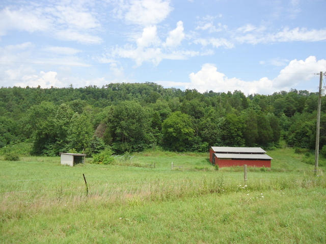 229 Three Point Road Vonore, TN 37885 - Photo 20 of 38 20-DSC00055
