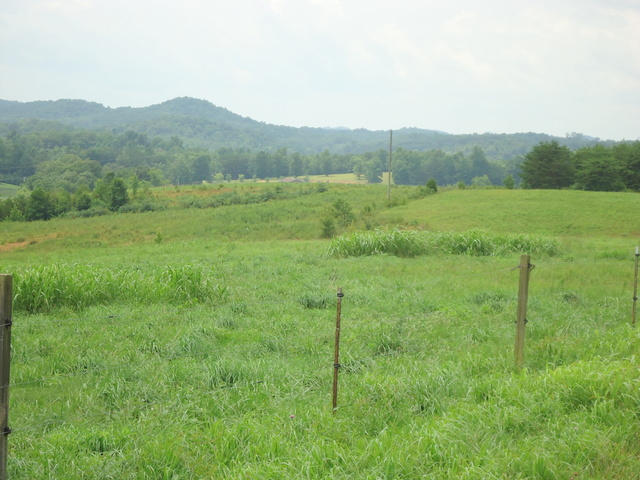 229 Three Point Road Vonore, TN 37885 - Photo 21 of 38 21-DSC00049
