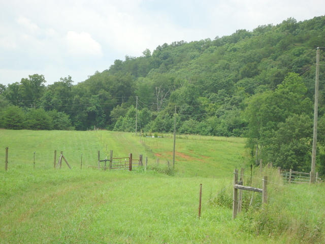 229 Three Point Road Vonore, TN 37885 - Photo 22 of 38 22-DSC00050
