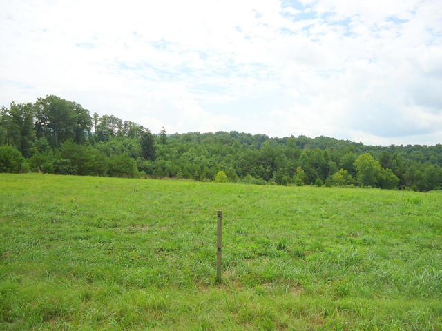 229 Three Point Road Vonore, TN 37885 - Photo 23 of 38 23-DSC00052