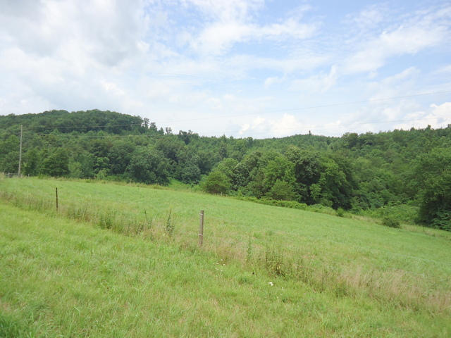 229 Three Point Road Vonore, TN 37885 - Photo 25 of 38 25-DSC00054