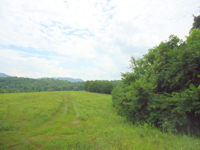 229 Three Point Road Vonore, TN 37885 - Photo 28 of 38 28-DSC00062