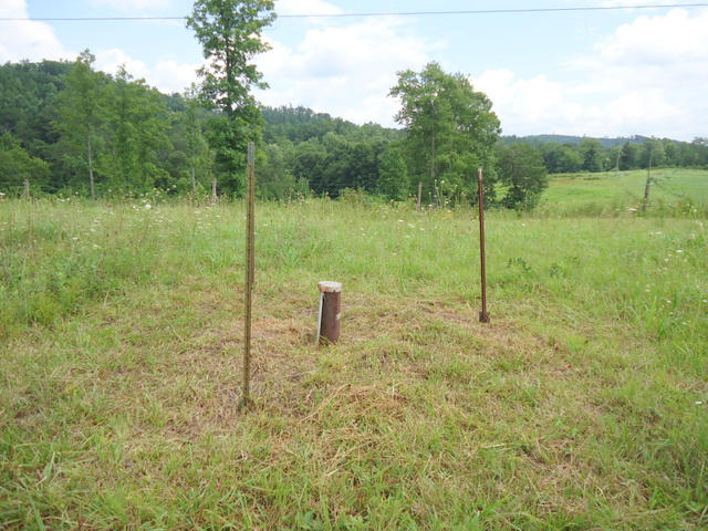229 Three Point Road Vonore, TN 37885 - Photo 29 of 38 29-DSC00067