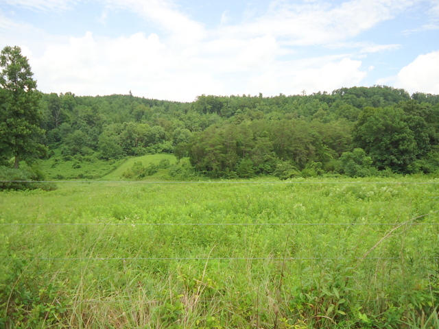 229 Three Point Road Vonore, TN 37885 - Photo 30 of 38 30-DSC00068