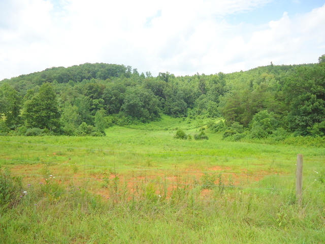 229 Three Point Road Vonore, TN 37885 - Photo 31 of 38 31-DSC00069
