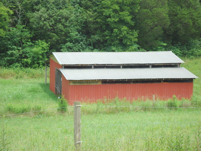 229 Three Point Road Vonore, TN 37885 - Photo 32 of 38 32-DSC00046
