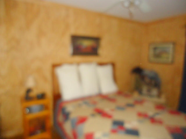 229 Three Point Road Vonore, TN 37885 - Photo 9 of 38 09-DSC00009