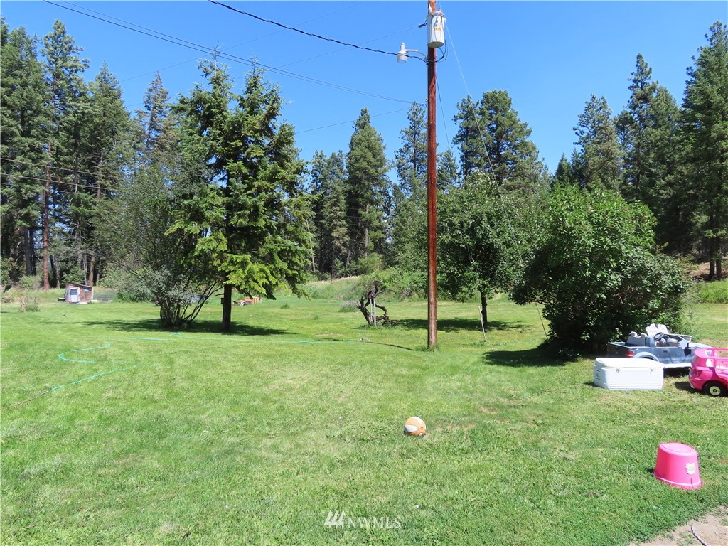 347 West Curlew Lake Road Republic, WA 99166 - Photo 20 of 26 a view of a tree in a yard