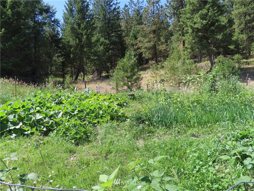 347 West Curlew Lake Road Republic, WA 99166 - Photo 25 of 26 a view of a lush green forest