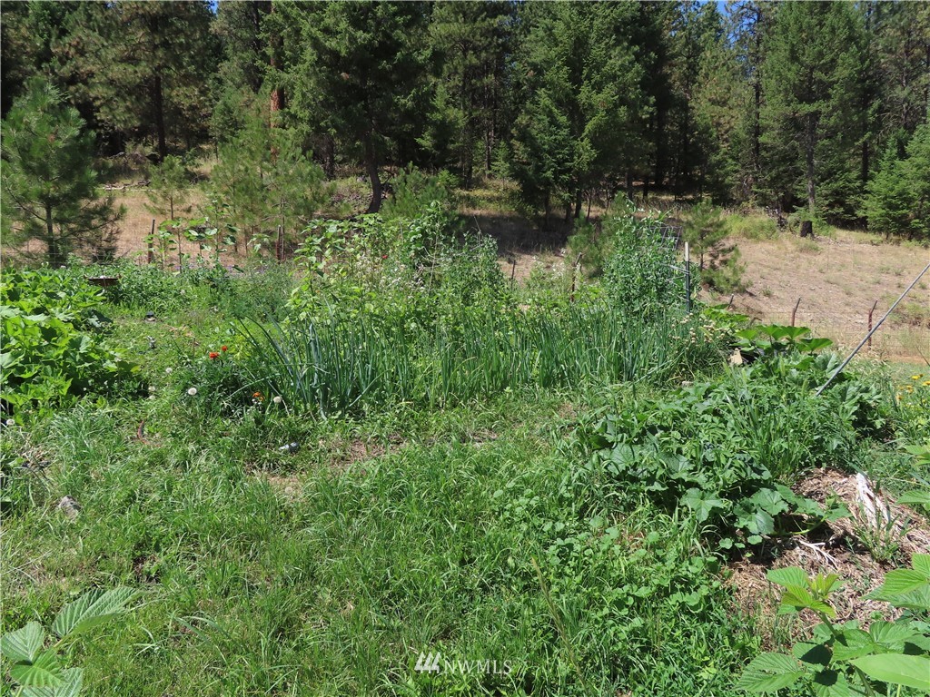347 West Curlew Lake Road Republic, WA 99166 - Photo 26 of 26 a view of outdoor space and trees