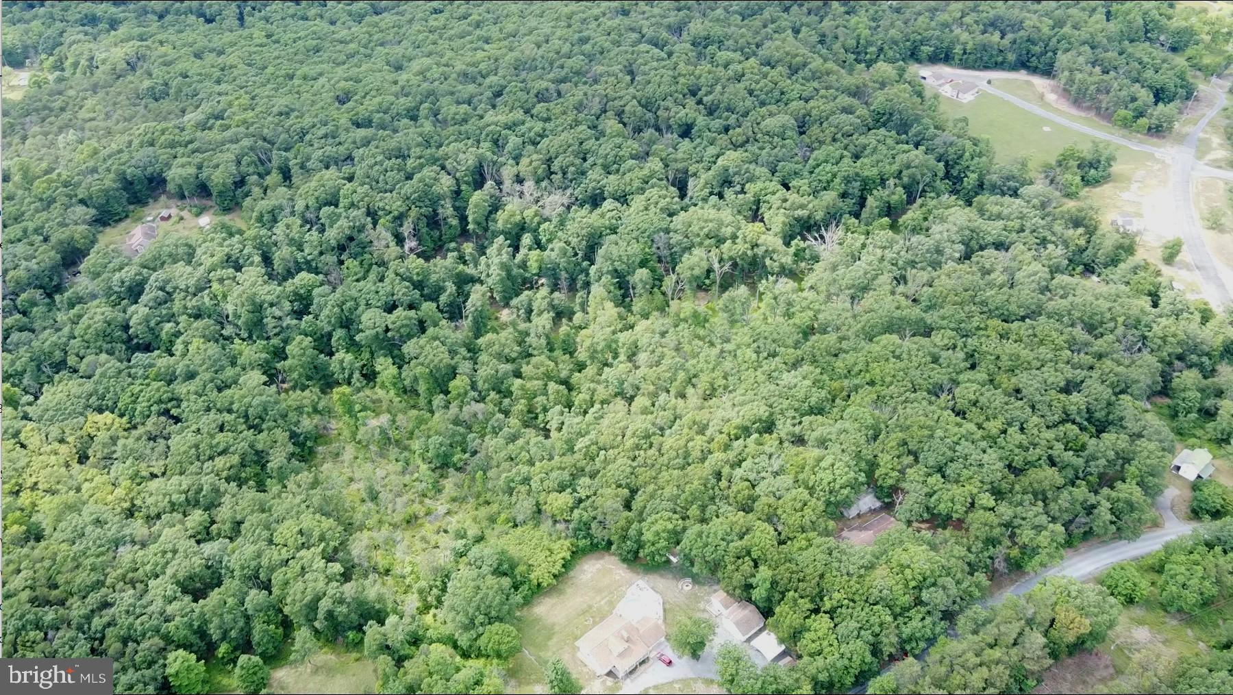 1917 South Timber Ridge Road Cross Junction, VA 22625 - Photo 16 of 19