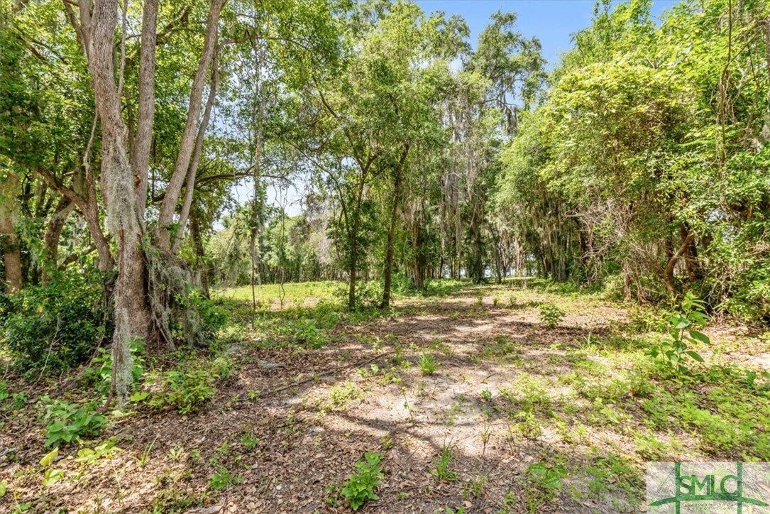 1119 Old River Road Darien, GA 31305 - Photo 11 of 22 Gallery Image 11