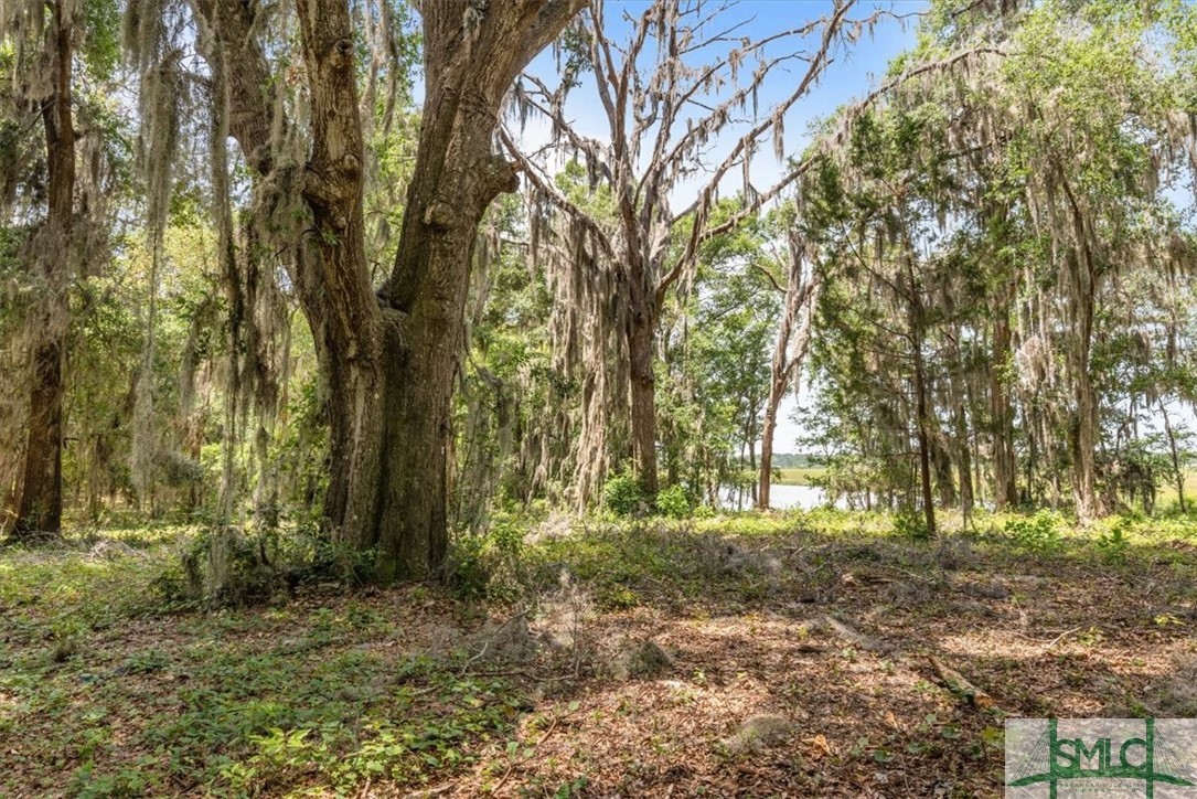 1119 Old River Road Darien, GA 31305 - Photo 12 of 22 Gallery Image 12