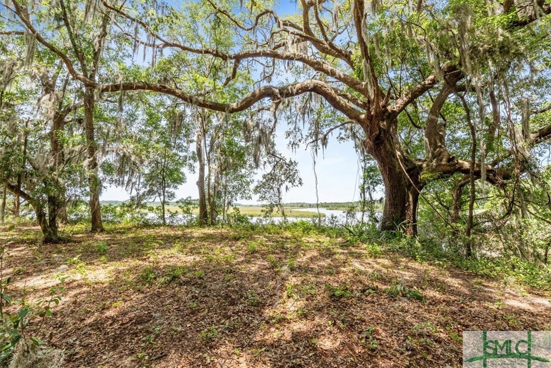 1119 Old River Road Darien, GA 31305 - Photo 13 of 22 Gallery Image 13